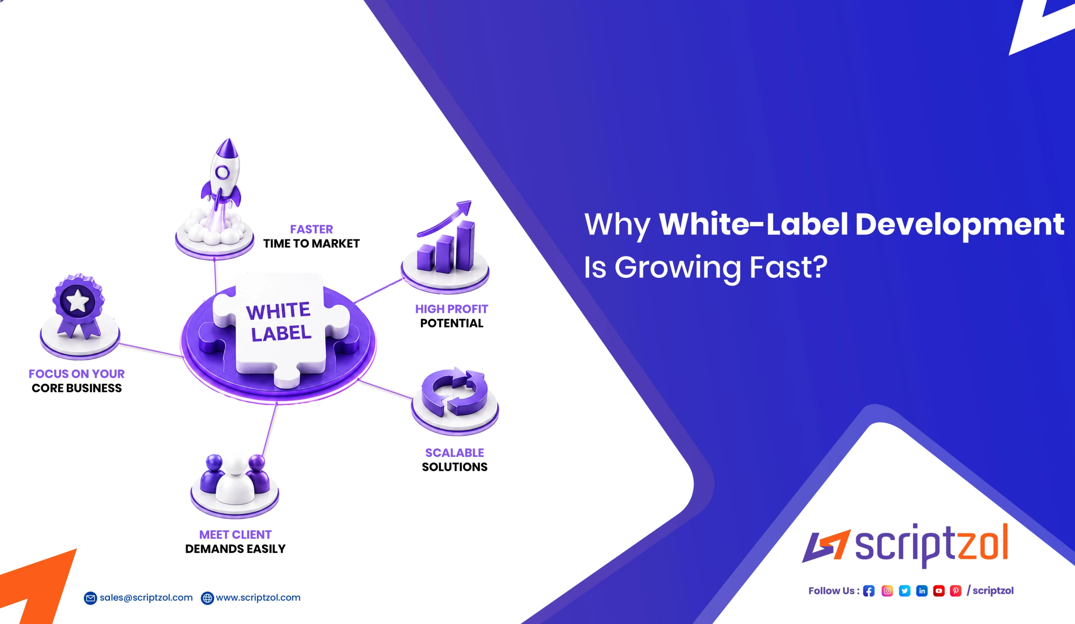 why white-label development is growing fast